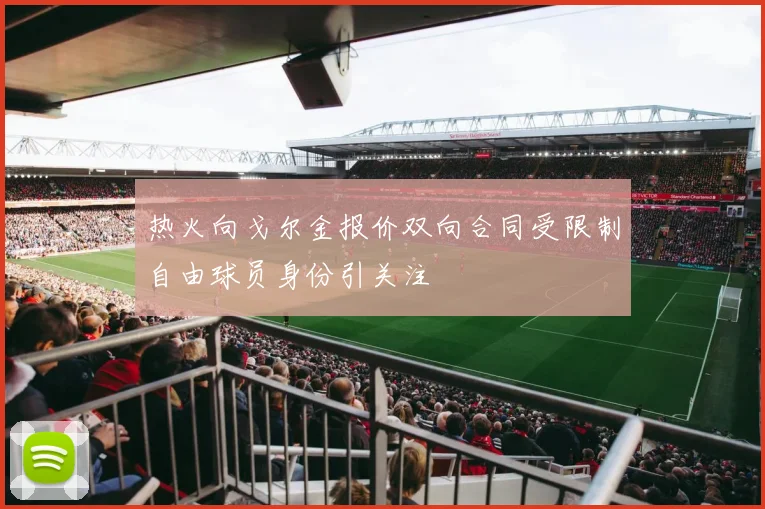 热火向戈尔金报价双向合同受限制自由球员身份引关注
